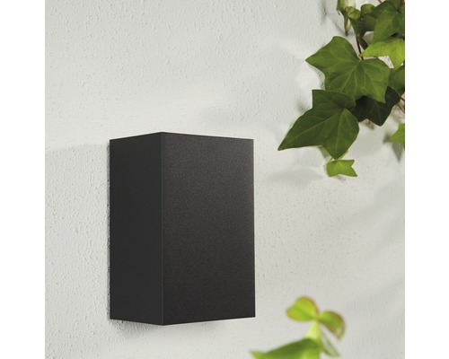 Kryhlové nástenné svietidlo na fasáde s brečtanom