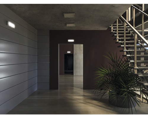 Interiér so schodiskom, rastlinou a osvetlením