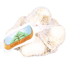 Cesnak v sieti od Nohel Garden