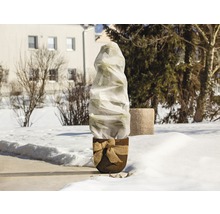 Rastlina v kvetináči so zimnou ochranou v záhrade.