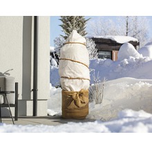 Vysadený strom so zimnou ochranou v zasneženej záhrade.