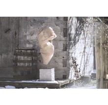 Obal na rastlinu na ochranu proti mrazu na kamennom stĺpe pred drevenou chatou