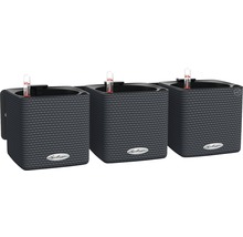 Tri sivé nástenné kvetináče Lechuza Cube Color 14 so zavlažovacím systémom