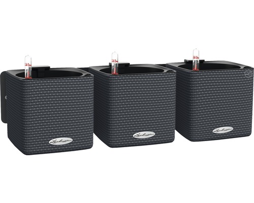 Tri sivé nástenné kvetináče Lechuza Cube Color 14 so zavlažovacím systémom