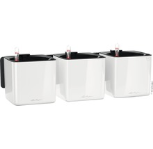 Tri biele kvetináče Lechuza Cube Color s ukazovateľom zavlažovania na montáž na stenu