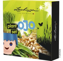 Balenie sady kvetináčov Lechuza Ojo