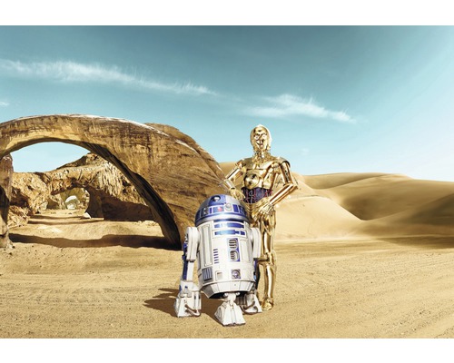 Scéna s R2-D2 a C-3PO v púštnej krajine