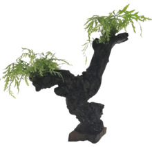 Dekorácia pre akváriá s drevom a rastlinami