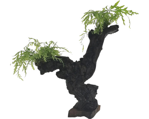 Dekorácia pre akváriá s drevom a rastlinami