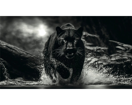 Obraz na plátne Black Panther 180x100 cm Čiernobiela fotografia čierneho pantera bežiaceho cez vodu
