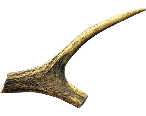 Jelenie parohy ako dekorácia