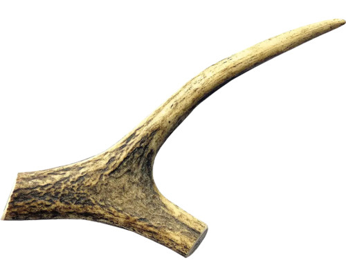 Maškrta pre psov jelenie paroh Fenica celý M Jeden kus jelenieho parožia