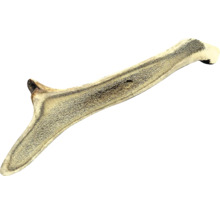 Žuvacia hračka pre psov z parožia