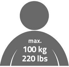 Symbol maximálneho zaťaženia 100 kilogramov alebo 220 libier
