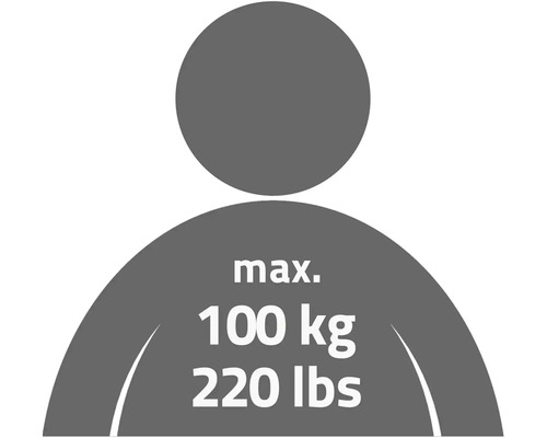 Symbol maximálneho zaťaženia 100 kilogramov alebo 220 libier