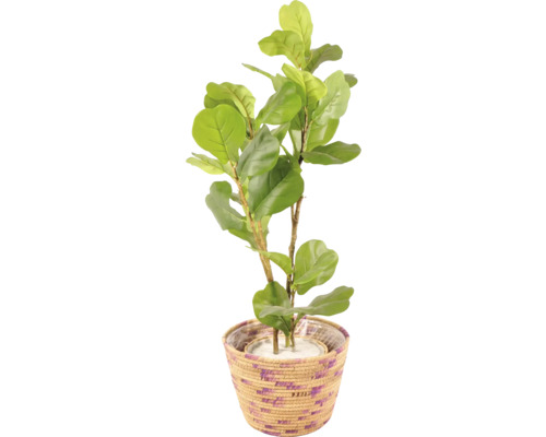 Umelá rastlina Fíkovník lýrovitolistý v kvetináči