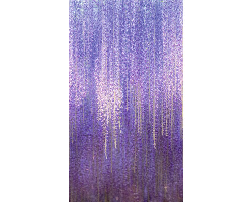 Vliesová tapeta na stenu ML6501 Wisteria 1,59x2,8 m