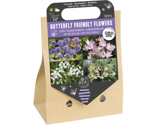Cibuľoviny 'Kvetiny priateľské k motýľom II' mix okrasných cesnakov 50 ks