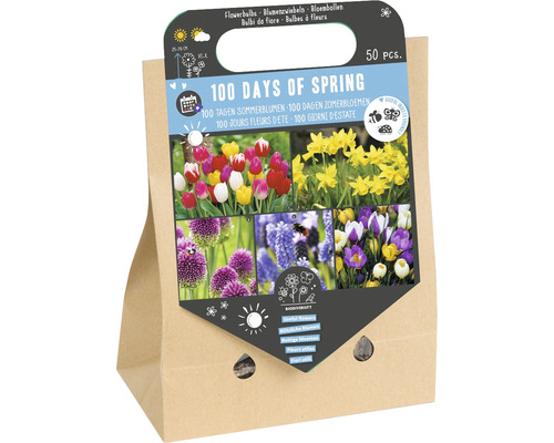 Cibuľoviny '100 dní jara' mix cesnakov, tulipánov, narcisov, šafránov a modríc 50 ks