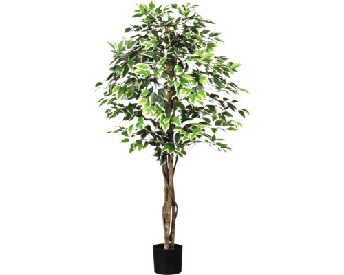 Umelá rastlina fikus Ficus Benjamina 180 cm zeleno-biela