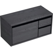 Skrinka pod umývadlo s dvomi zásuvkami