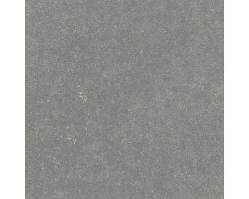 Sivá dlažba z kameniny