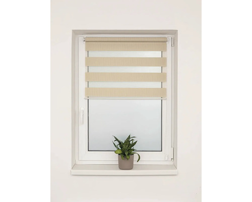 Okno s roletou deň a noc a izbovou rastlinou