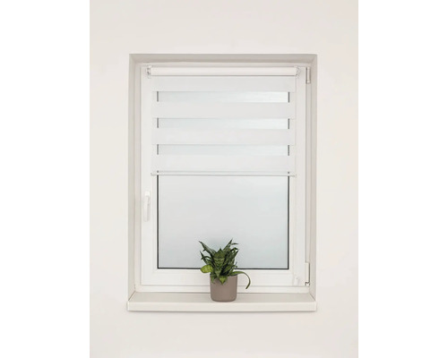 Okno s dvojitou roletou a izbovou rastlinou