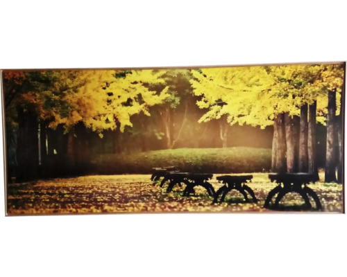 Obraz v ráme SHADOW 59x134 cm Trees Yellow