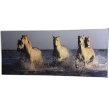 Obraz v ráme SHADOW 59x134 cm Kone White