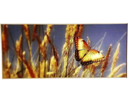 Obraz v ráme SHADOW 59x134 cm Butterfly