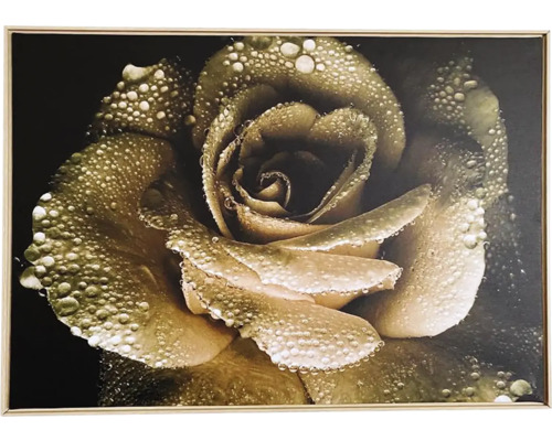 Obraz v ráme SHADOW 59x84 cm Ruža
