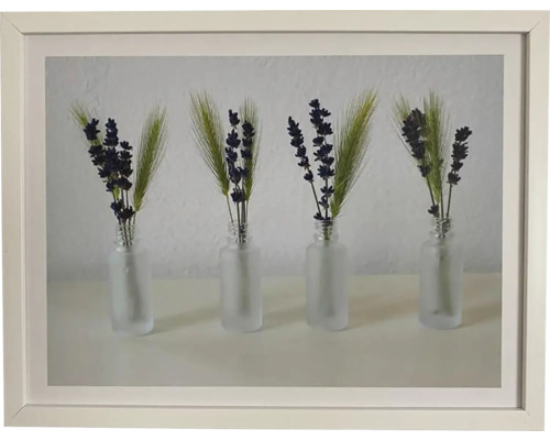 Obraz v ráme DMB 33x43 cm Tráva Lavender