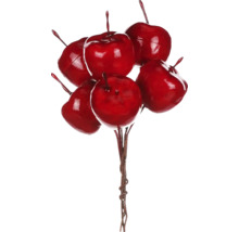 Dekoratívny zväzok jabĺk na sezónne dekorácie