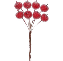 Dekoratívne bobule na vetve pre kvetinové aranžmány