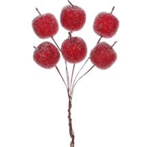 Dekoratívne jablká na stonke pre floristické práce a dekorácie