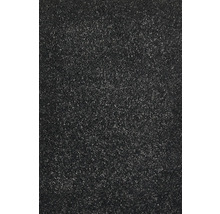 Koberec Proteus šírka 400 cm čierny FB.99 (metráž)-thumb-1