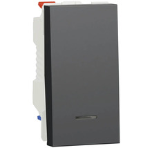 Sivý sériový spínač