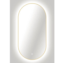 Oválne LED zrkadlo do kúpeľne s osvetlením Oval 100 x 50 cm v zlatom ráme s vypínačom a podložkou proti zahmlievaniu