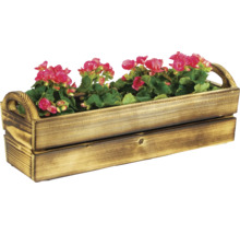 Drevený kvetináč s ružovými begóniami