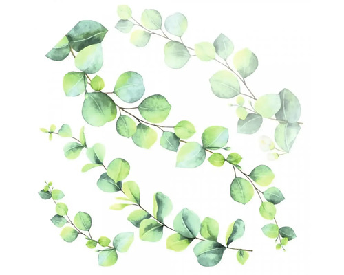 Ilustrácia eukalyptových konárov