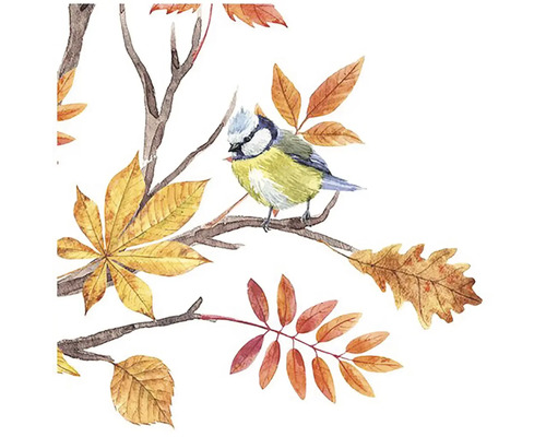 Ilustrácia modrého vtáka Titmuse na konári s jesennými listami