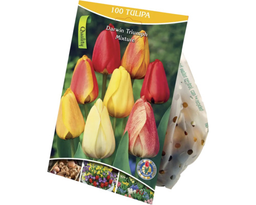 Tulipány zmes 100 ks