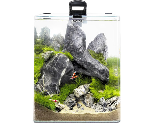 Akvárium s kameňmi, rastlinami a krevetami