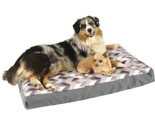 Pelech pre psov s dvoma psami