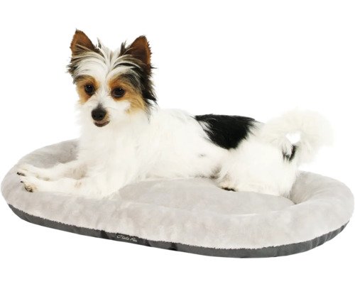 Pes leží v psej posteli