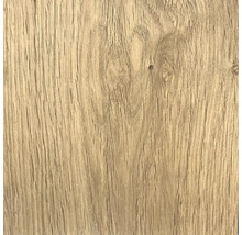 Štruktúra dreva, detailný záber
