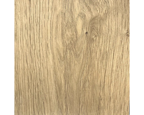 Štruktúra dreva, detailný záber