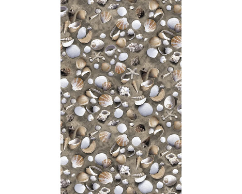 Dekor s mušľami a hviezdicami