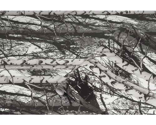 Dekoračná látka so vzorom kôry stromov a konárov